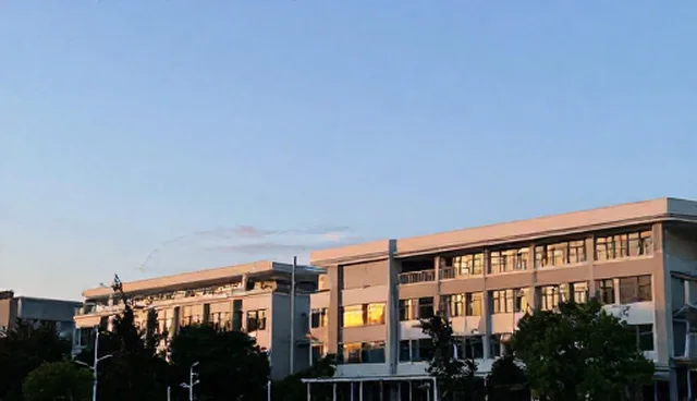 门户网站制作:上海网页设计公司助力企业信息高效传播